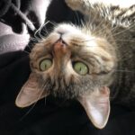 Ricky Gervais Instagram - Sup?