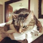 Ricky Gervais Instagram - Warm towels