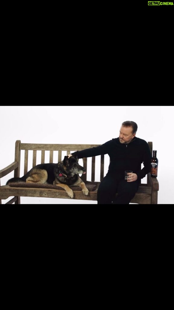 Ricky Gervais Instagram - When you’re waiting to film an advert and the dog suddenly remembers she loves you.