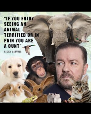Ricky Gervais Thumbnail - 262.3K Likes - Top Liked Instagram Posts and Photos
