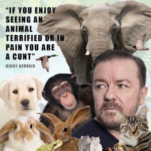 Ricky Gervais Thumbnail - 138.6K Likes - Top Liked Instagram Posts and Photos