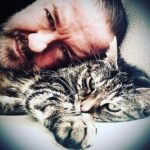 Ricky Gervais Instagram - ❤️