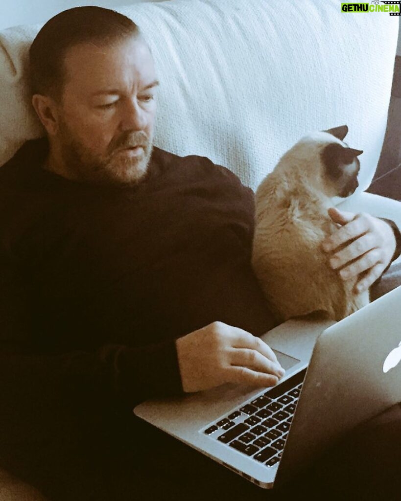 Ricky Gervais Instagram - Writing the 1st series of #AfterLife ❤️