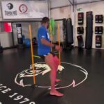 Rico Verhoeven Instagram – Live agility training