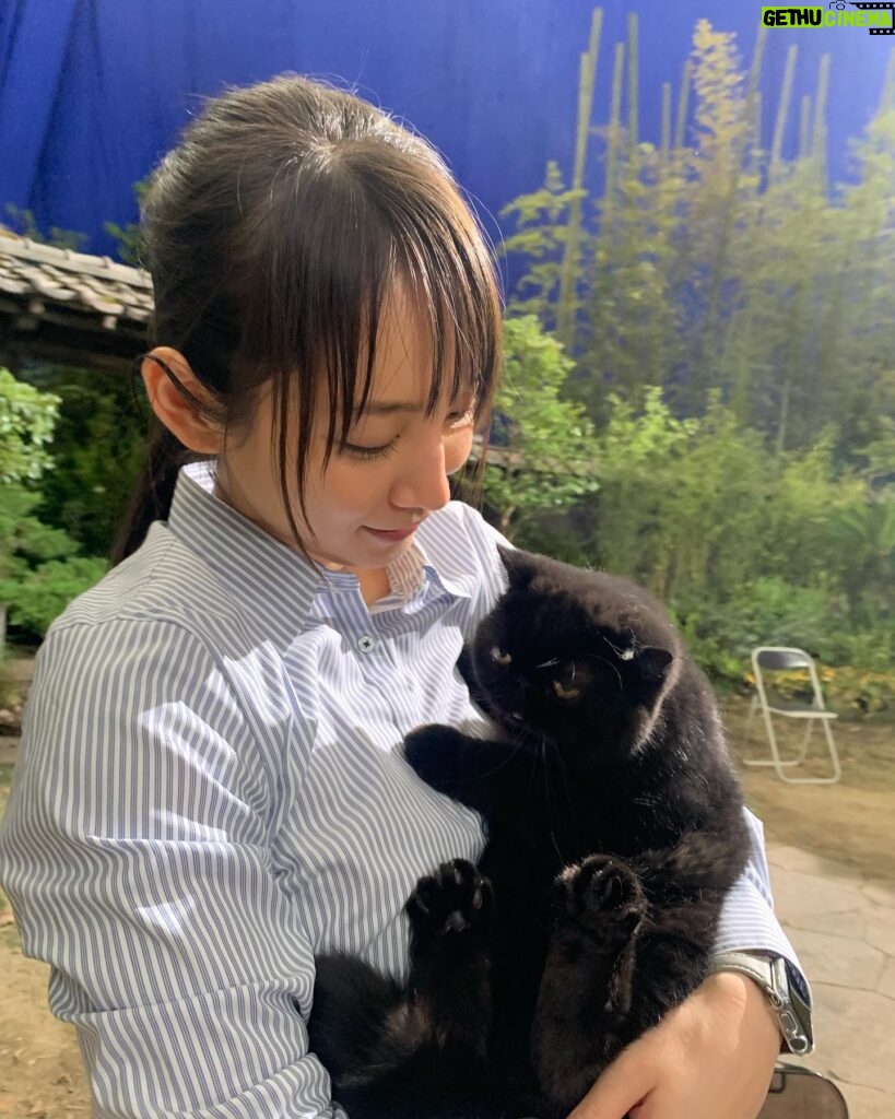 Riho Yoshioka Instagram - "忍びの家 HOUSE OF NINJAS" 忍者猫🐈‍⬛ 抜き足差し足上手です。 暗闇に紛れます。 人間を油断させます。 2月15日よりNetflix独占配信🥷 黒猫かわいいですよね。 この子はまた特別可愛かったです。 実家にも昔、おいでーと言うと走って抱きついてきてくれる黒猫がおりました。