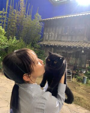 Riho Yoshioka Instagram - "忍びの家 HOUSE OF NINJAS"

忍者猫🐈‍⬛
抜き足差し足上手です。
暗闇に紛れます。
人間を油断させます。

2月15日よりNetflix独占配信🥷

黒猫かわいいですよね。
この子はまた特別可愛かったです。
実家にも昔、おいでーと言うと走って抱きついてきてくれる黒猫がおりました。