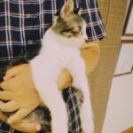 Riho Yoshioka Instagram - チビです。 80年代の夏にタイムスリップしたらおりました🐈‍⬛ ドラマ始まるので色々出ます。 9日　なんかオモ,10日 華大さんと千鳥くん, 午前中電波ジャック,雑誌など… 見つけてね。 @kadora_11 #ドラマ　#トキコイ #時をかけるな恋人たち