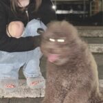 Risa Yukihira Instagram - 友達いぬ🐻