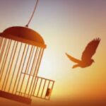 Rita Guedes Instagram - la libertè #vida #love #flytothemoon