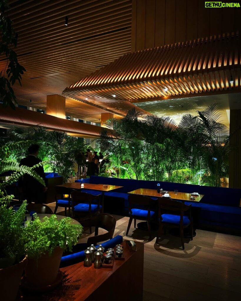 Rita Pereira Instagram - Dinner at The Blue Room @toranomonedition 💙 #theblueroom #theblueroomrestaurant #editionhotels #toranomonedition #tokyoeditiontoranomon #tokyo #japan