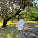 Rita Pereira Instagram - E finalmente encontramos sakuras 🫰🏽🇯🇵 Que lindo, que lindo, que lindo 😍 Que jardim mais lindo!!! Aconselho muito. Fizemos um picnic, passeámos, descansámos. Foi tão zen. Que bom. #japan #tokyo #shinjuku #shinjukugyoennationalgarden