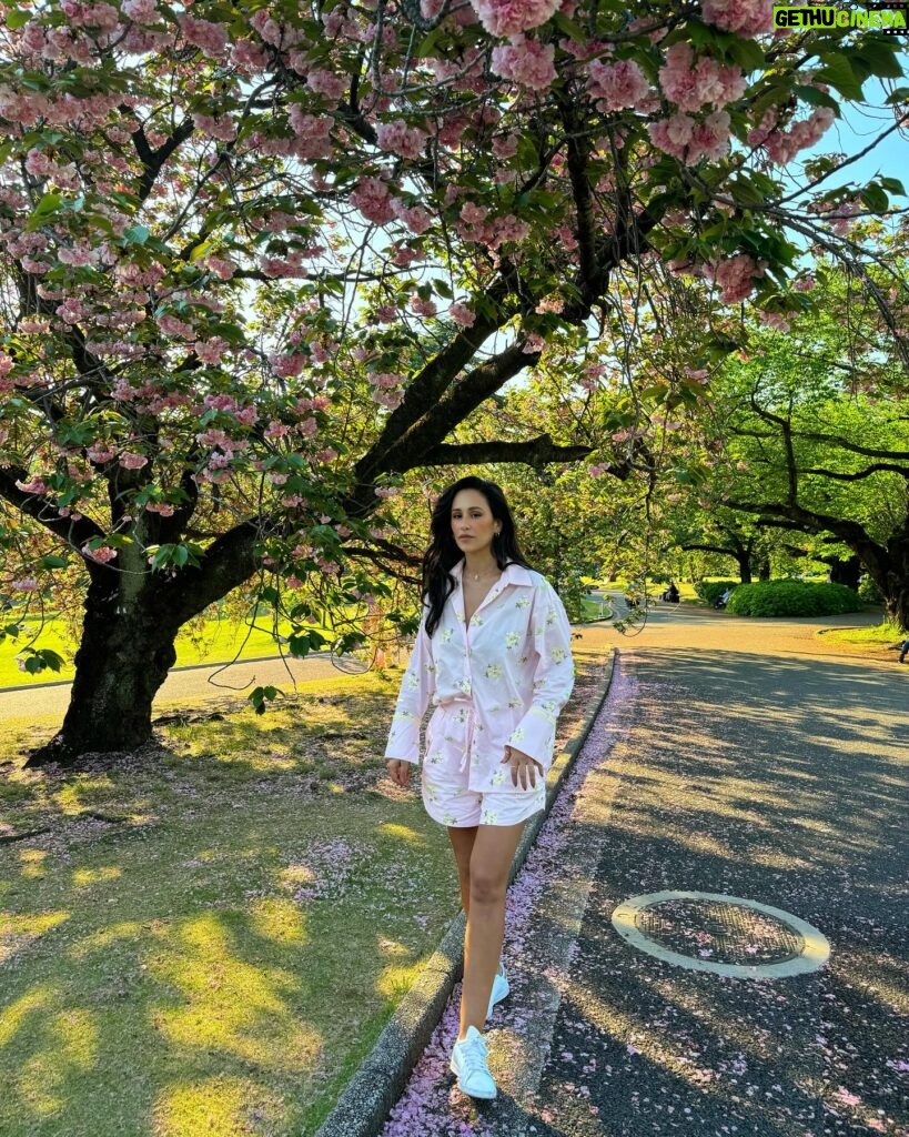 Rita Pereira Instagram - E finalmente encontramos sakuras 🫰🏽🇯🇵 Que lindo, que lindo, que lindo 😍 Que jardim mais lindo!!! Aconselho muito. Fizemos um picnic, passeámos, descansámos. Foi tão zen. Que bom. #japan #tokyo #shinjuku #shinjukugyoennationalgarden