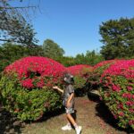 Rita Pereira Instagram - E finalmente encontramos sakuras 🫰🏽🇯🇵 Que lindo, que lindo, que lindo 😍 Que jardim mais lindo!!! Aconselho muito. Fizemos um picnic, passeámos, descansámos. Foi tão zen. Que bom. #japan #tokyo #shinjuku #shinjukugyoennationalgarden