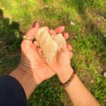 Rita Pereira Instagram - A nossa tarde foi passada no campo, a explorar, a descobrir, a correr por novos caminhos, a cheirar as flores, a cansar os cães, a dançar e a rir. É tão simples e faz-nos tão felizes. PS- E a “cara” da Heyvi a odiar o lenço no cabeça 😂😂😂 #dogsofinstagram #dog #dogsandkids #passeios #mom #son #happiness #goodvibes