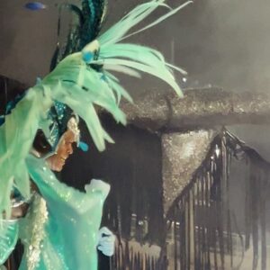 Rita Pereira Instagram - O Carnaval no Brasil 🇧🇷 
Já não é a primeira vez que vou, já tive até a sorte de desfilar num destes carros alegóricos e foi das experiências mais emocionantes da minha vida, mas todos os anos a emoção é gigante porque realmente, esta competição é única.
A mistura de pessoas, a cultura, a arte, a dedicação, a inclusão, a cor, os carros alegóricos, as fantasias, o amor que se vê no rosto de cada participante, tudo isto é muito especial. 
Aconselho muito tentarem viver esta experiência.
@nossocamarote @marquesdesapucaioficial #carnavaldorio #riodejaneiro #goodvibes