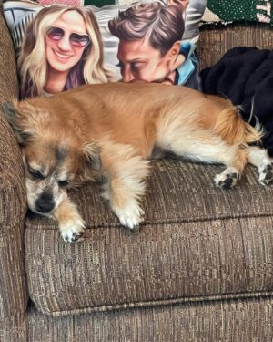 Robin Roberts Instagram - Sweet Amber & I always watching over @lil_man_lukas…we hope all are enjoying #saturdayserenity as much as our beloved rescue pup. #GetYourRescueOn 🐶❤️