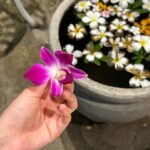 Roh Yoon-seo Instagram - Happy new year✨🐉🍀💗 건강하고, 소소하게라도 자주자주 행복한 행운 가득한 한 해 되기를🌅