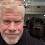 Ron Perlman Instagram – Harrington, not to be outdone by Billie…