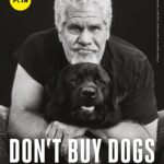 Ron Perlman Instagram – Repost from @peta
•
There are 70 million homeless animals in the U.S. right now. And they need your help.
 
Legendary actor @perlmutations & his rescued dogs teamed up with us to share this message: adopt, don’t shop. https://peta.vg/3rfo
 
Photographer: Shayan Asgharnia @shayan.asgharnia
Creative Director: Greg Garry @eyesofgreggarry
Director of Photography: Jordan Ritz @jordanritz_dp
Photo Assistant: Victor Hernandez @vic.luciano.images
Lighting Technician: Sash Popovic
Sound: Alexis Martinez 
Assistant camera: Ben Smith
Steadicam: James Marin @jamesmarin3
Grooming: Aaron Barry @abhairmakeup