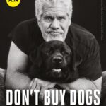 Ron Perlman Instagram – Helping dogs is so important to me and I joined @peta with my adopted pups Harrington and my late Sassy (who we miss dearly) to promote adoption ❤️ There are 70 million homeless animals in the U.S. right now. Please remember to adopt and never buy dogs in Sassy’s memory, it makes a huge difference 🐾

 

Photographer: Shayan Asgharnia @shayan.asgharnia

Creative Director: Greg Garry @eyesofgreggarry

Director of Photography: Jordan Ritz @jordanritz_dp

Photo Assistant: Victor Hernandez @vic.luciano.images

Lighting Technician: Sash Popovic

Sound: Alexis Martinez 

Assistant camera: Ben Smith

Steadicam: James Marin @jamesmarin3

Grooming: Aaron Barry @abhairmakeup