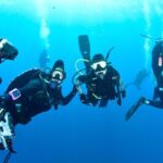 Ronni Hawk Instagram - We had a fabulous day with the sharks 🦈 Thank you @ronnihawk for joining our Force-E group for some dives on @gung_ho_divers 📸 by @momentsintimephoto_underwater #sharks #sharkdiving #southflorida #scubalife
