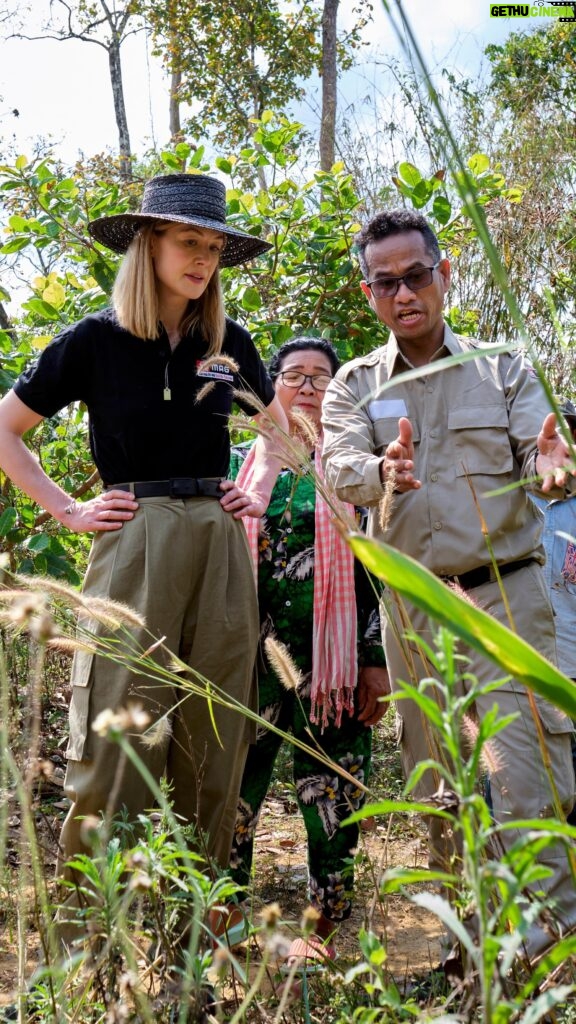 Rosamund Pike Instagram - Earlier this year, I visited Cambodia to meet MAG’s team of expert deminers and meet their community liaison teams. In the UK, children need to know how to cross a road safely. In Cambodia it is vital that they also know the difference between a shiny object found on their way to school and a landmine. If you donate to MAG’s life changing work between now and the end of May, your donation will be doubled by a generous MAG supporter, making double the difference for families in Cambodia. A gift of £25 (doubled to £50) could help deliver life-saving risk education lessons to communities for two days!!!