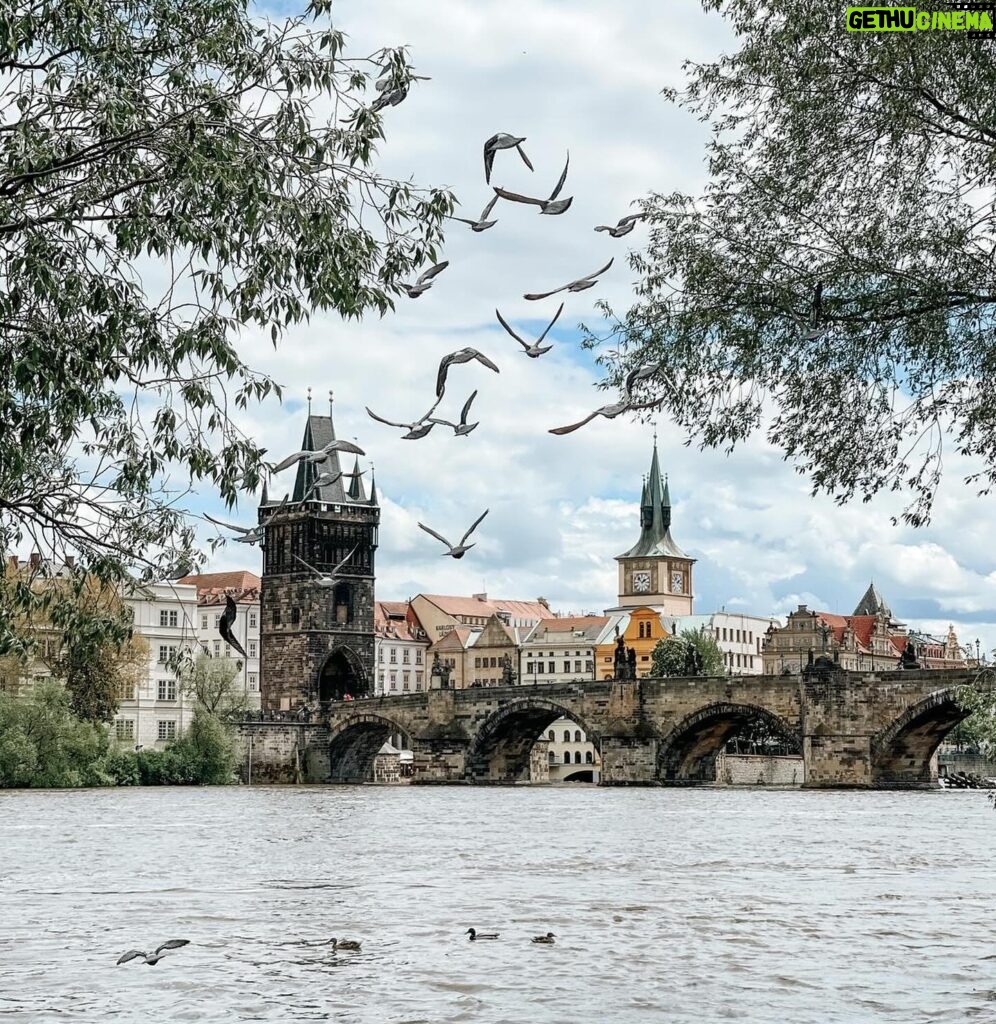 Rosamund Pike Instagram - Heartbroken for Prague.