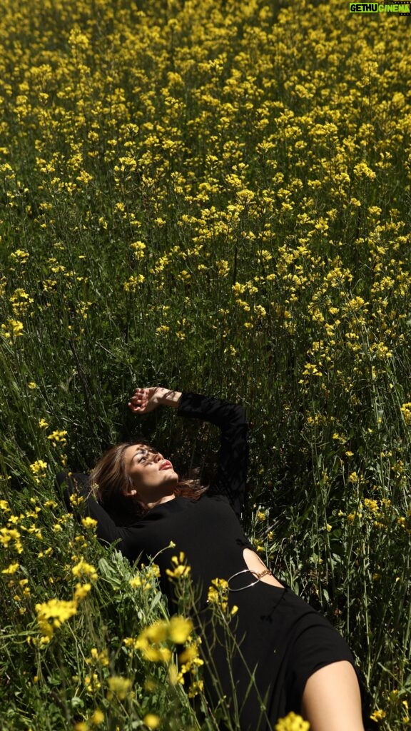 Rosanna Zanetti Instagram - La vida es más bonita entre flores 🌼✨