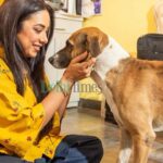 Rupali Ganguly Instagram – In an exclusive #PetDay shoot with us, @rupaliganguly poses with #Coffee and her other fur babies, all on the set of Anupamaa 
.
.
.
#rupaliganguly #rupali #anupamaa #maan #anupama #trendingnow #petday #trendingreels #trendingnow #explorepage #fyp #doggies