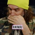 Russell Brand Instagram - Ivermect*n now for HUMANS! You can’t make this 💩 up man #fda #news