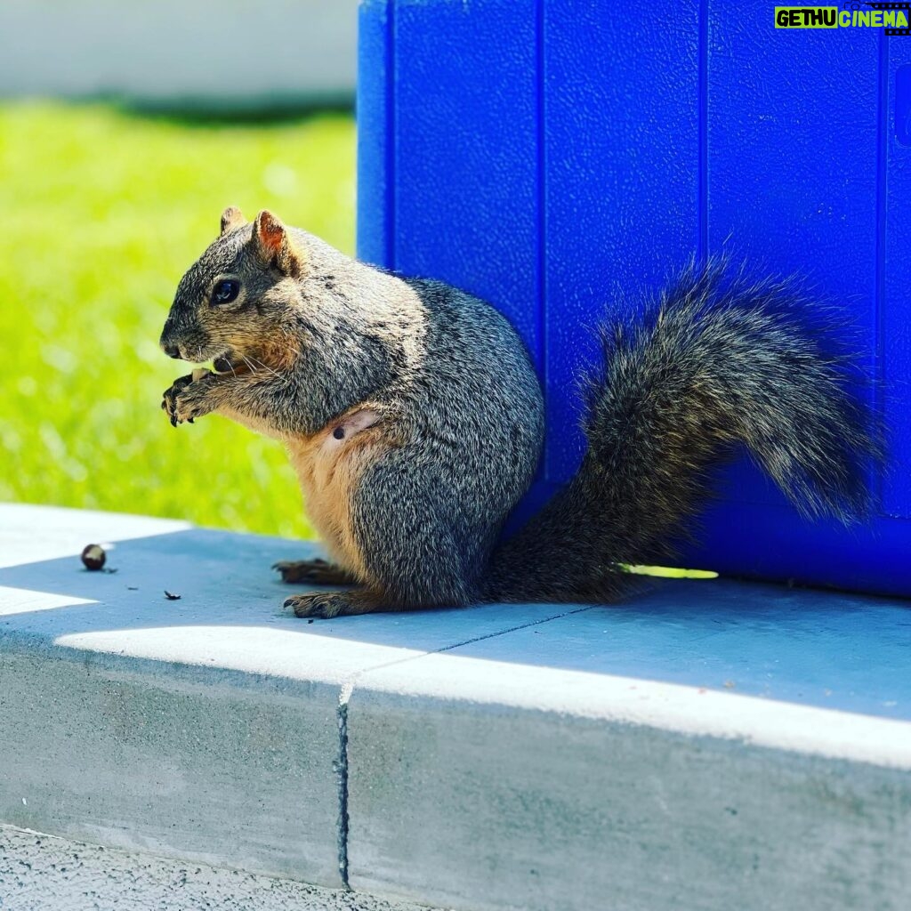 Ruth Connell Instagram - Spring has sprung! The grass has ris! I wonder where the birdie is? Some say the bird is on the wing but that’s absurd - the wing is on the bird! Dolores likes her nuts 🌰 whole hazelnuts - we think she’s expecting so we fed her plenty 🤎