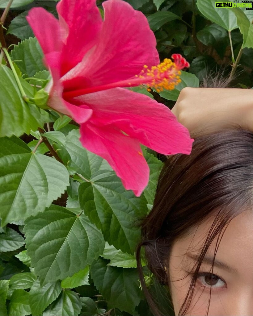 Rutricha Phapakithi Instagram - 🌺