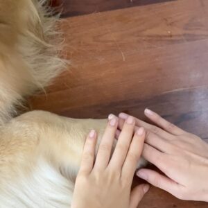 Rutricha Phapakithi Instagram - สาวๆบ้านอัมพรโสภน👧🏻👧🏻👧🏻 x ลาเต้🐶💘
#23point5