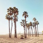 Sébastien Dubois Instagram – Los Angeles ou Paris ? 😜