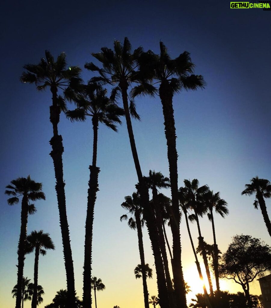 Sébastien Dubois Instagram - Caption 🌴 #California