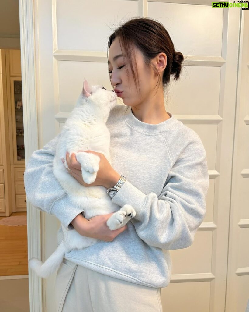 Samantha Ko Instagram - . 好耐無食過住家飯😋 貓貓都大個咗好多🐈🐈 #sammko