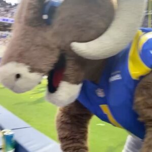 Samantha Logan Instagram - THANK YOU @RAMS 💙💛