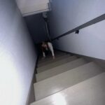 Samantha Melanie Coates Instagram - ติดเธอไม่ไหว~ ติดฝนอยู่ด้วยกันก่อนได้ไหม ถ้าเธอรีบไป เอาร่มเราไปก่อนได้เลย🌂