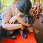 Samyuktha Instagram - RUDRA 🖤 Thank you for coming into my life 🐾