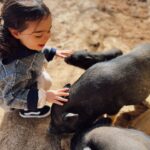 Sara Prata Instagram – Andamos por Lavre ♥️ aqui pertinho do @sleepandnature descobrimos uma quintinha incrível na reserva animal Monte Selvagem. A Amélia só perguntava “posso ficar aqui tanto tempo o tempo todo?” 😂 não há palavras para o carinho que esta miúda tem pelos animais 🌿 agora a noite está a chegar e vamos regressar ao hotel, porque vamos ter lua cheia e aqui no campo a vista é bem privilegiada 🌕⭐️