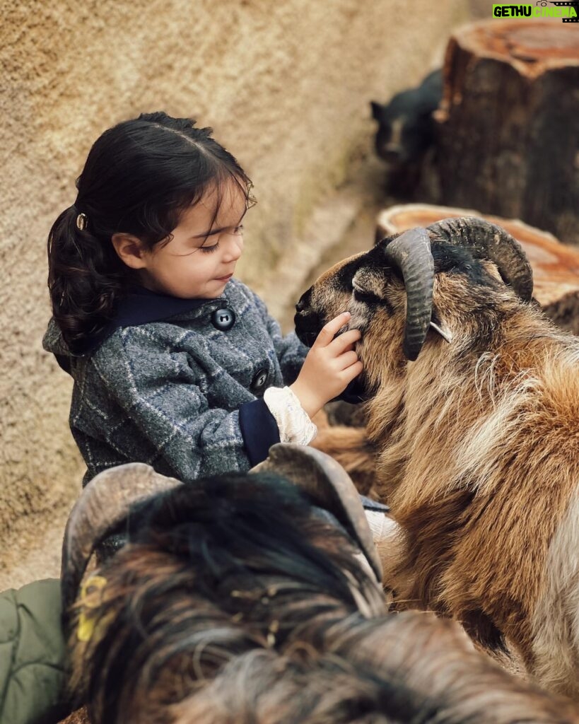 Sara Prata Instagram - Andamos por Lavre ♥️ aqui pertinho do @sleepandnature descobrimos uma quintinha incrível na reserva animal Monte Selvagem. A Amélia só perguntava “posso ficar aqui tanto tempo o tempo todo?” 😂 não há palavras para o carinho que esta miúda tem pelos animais 🌿 agora a noite está a chegar e vamos regressar ao hotel, porque vamos ter lua cheia e aqui no campo a vista é bem privilegiada 🌕⭐️