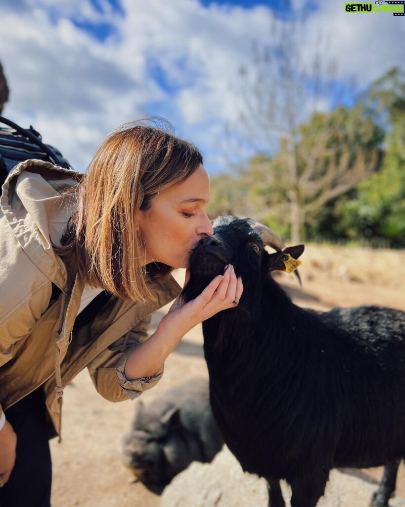 Sara Prata Instagram - Andamos por Lavre ♥️ aqui pertinho do @sleepandnature descobrimos uma quintinha incrível na reserva animal Monte Selvagem. A Amélia só perguntava “posso ficar aqui tanto tempo o tempo todo?” 😂 não há palavras para o carinho que esta miúda tem pelos animais 🌿 agora a noite está a chegar e vamos regressar ao hotel, porque vamos ter lua cheia e aqui no campo a vista é bem privilegiada 🌕⭐️