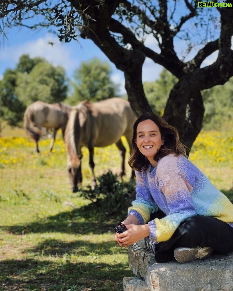 Sara Prata Instagram - Mesmo aqui ao lado e nós não conhecíamos ♥️🌿 Tivemos um dia em grande e sem saber muito bem ao que íamos. Acabámos por descobrir os animais da quinta, os burros, as cabras, as ovelhas e tantos outros ao longo do caminho, fizemos uns 3/4 picnics (que isto de andar ao ar livre no meio da natureza dá fome), explorámos o trilho do Cuquedo sem apanhar nenhum susto porque a criançada nunca nos deixou parar no mesmo lugar 😂😂, e ainda alugámos bicicletas elétricas com atrelado para passear nos 380 hectares de natureza. Pelo meio tivemos direito a “descansar as pernas” num pedacinho de terra idílico, cheio de cavalos selvagens 🌿♥️ Que programinha perfeito. Fica a dica, e é de guardar: • Quinta do Pisão 😍