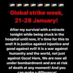 Sara Ramirez Instagram – CEASEFIRE NOW. Where are these people supposed to go? They are being bombarded and targeted wherever they go! Innocent lives, children. CHILDREN. Where is our humanity? Repost from @wizard_bisan1 Share this, let the whole world see, know and STRIKE.