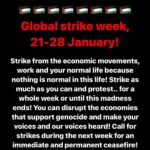 Sara Ramirez Instagram – CEASEFIRE NOW. Where are these people supposed to go? They are being bombarded and targeted wherever they go! Innocent lives, children. CHILDREN. Where is our humanity? Repost from @wizard_bisan1 Share this, let the whole world see, know and STRIKE.