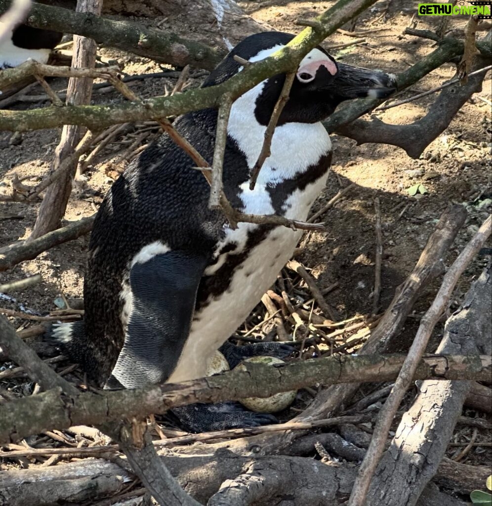 Sara Sampaio Instagram - SA 🐧