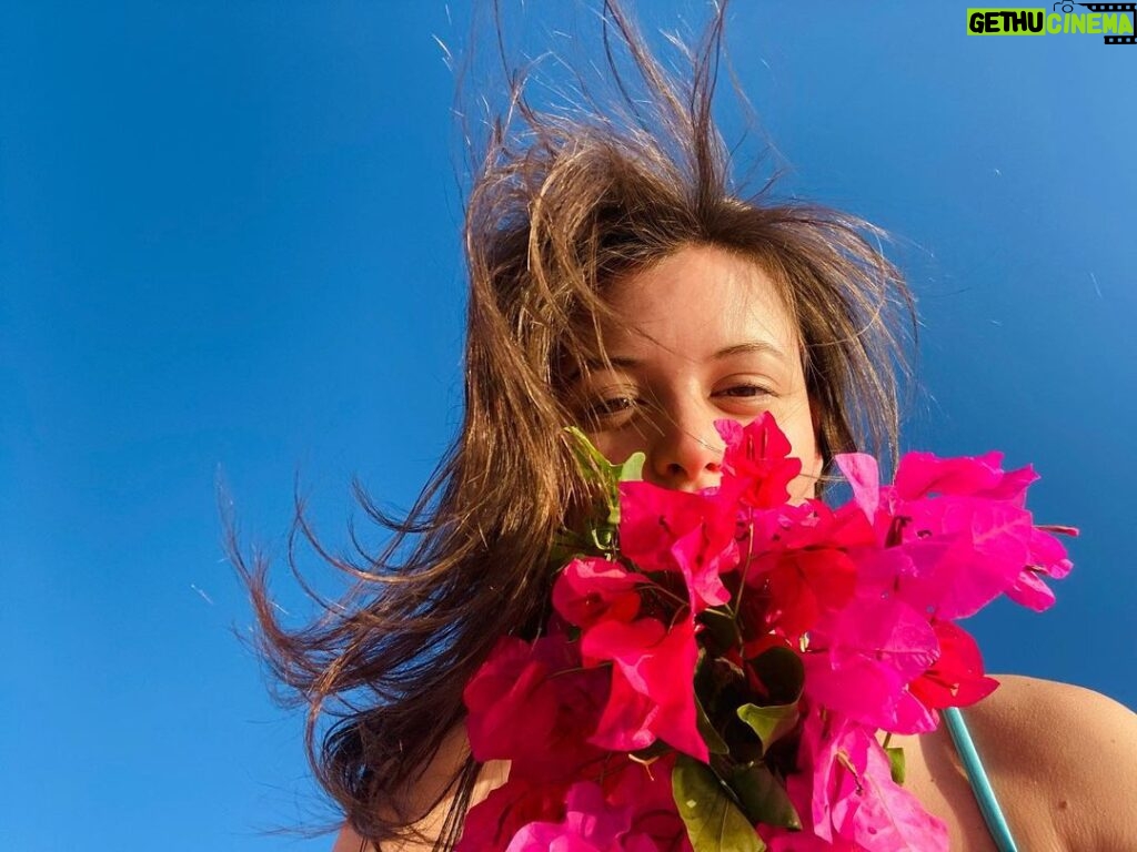 Sara Waisglass Instagram - thank you Turks and Caicos for reminding me to stop and smell the bougainvillea🌺 @beachesresorts #beachesturksandcaicos Beaches Turks & Caicos