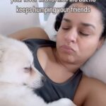 Sarah Cooper Instagram -