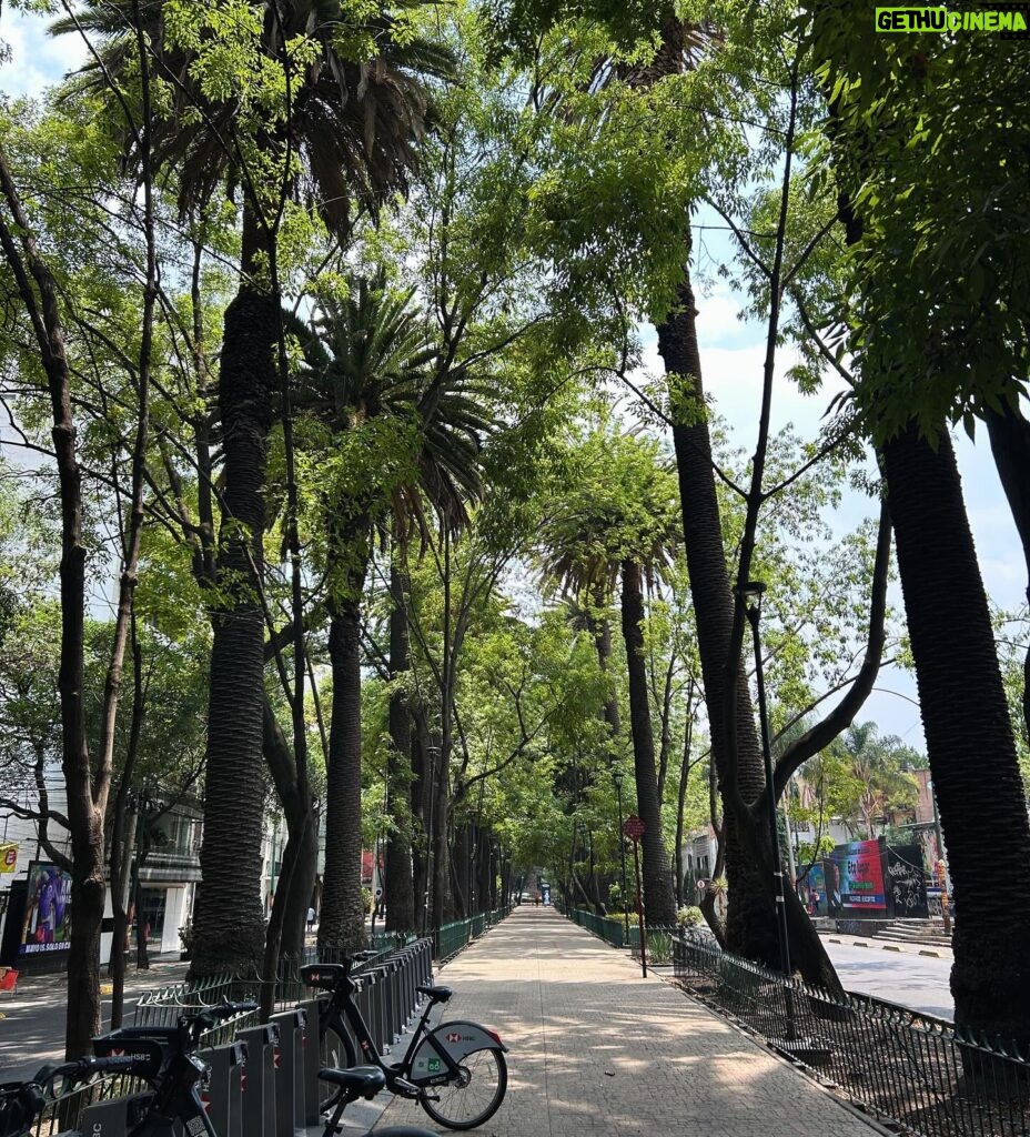 Sarah Gilman Instagram - wherever you go, there you are. even so, Mexico City is a wonderful place to be. more wonderful—colorful, welcoming, multidimensional—than i could’ve imagined.