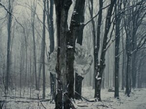 Sarah McDaniel Instagram - INNER LANDSCAPES full stylistic pilot in bio

Director: @krotchy 
Cinematographer:  @ty_mcgrath 
1AC:  @alex_dametto 
2AC:  @moshwarrior
Gaffer:  @liamvanderploeg 
Music:  @bdbender 
VFX:  @lucashrubizna 
Rotoscoping: @getcrspy
Color: @sgllng 
Headpiece  @lance.v.moore
Special Thanks @northofnowfilms &  @wfw_intl

-

We made this piece as part of a series that explores the inner landscapes of different artists and thought leaders. More to come 🤸🏻‍♀️